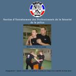 Auto Self Defense.jpg